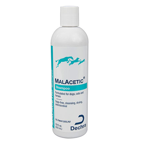 malacetic-shampoo