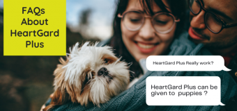 Debunking Some FAQs About HeartGard Plus For Dogs