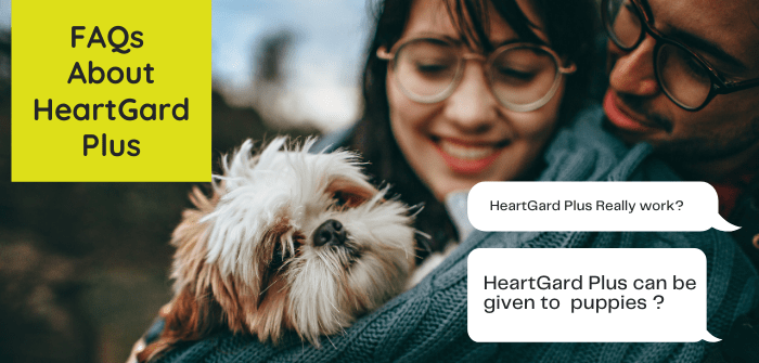 FAQs about Heartgard plus