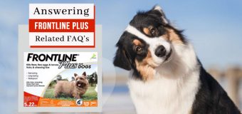 Answering FRONTLINE PLUS for Dogs Related FAQ’s