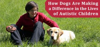 How Dogs Are Making a Difference in the Lives of Autistic Children