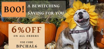 Halloween Celebration And Savings On Pet Supplies