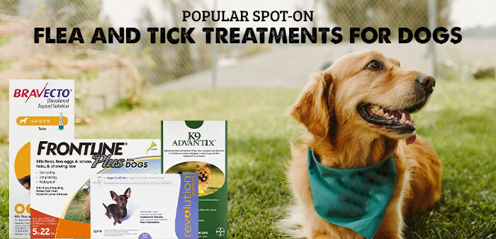 Popular spot-on flea and tick treatments