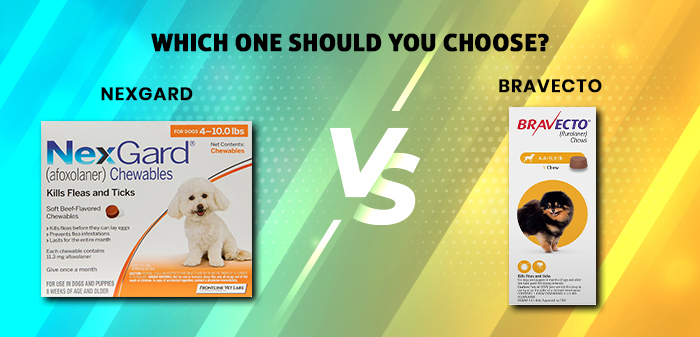 Nexgard vs Bravecto: which one you should choose?