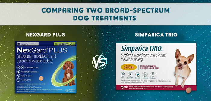 Vet-recommended Nexgard Plus vs simparica trio are broad spectrum treatments.