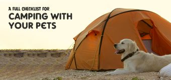 A Full Checklist for Camping with Your Pets