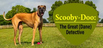Scooby-Doo: The Great (Dane) Detective