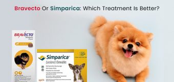 Bravecto Or Simparica: Which Treatment Is Better?