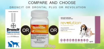 COMPARE AND CHOOSE: DRONCIT OR DRONTAL PLUS OR REVOLUTION