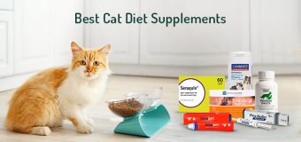 Best Cat Vitamins & Supplements (Vet’s 1st Choice)