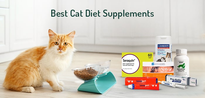 Best Vitamins & Supplements for cats