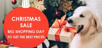 Christmas Sale – Big Shopping Day To Get the Best Prices