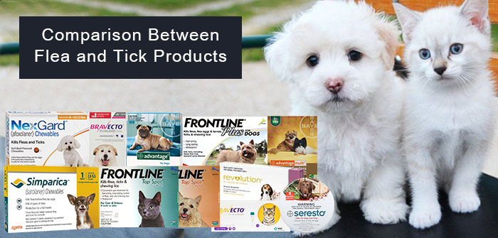 flea and tick products