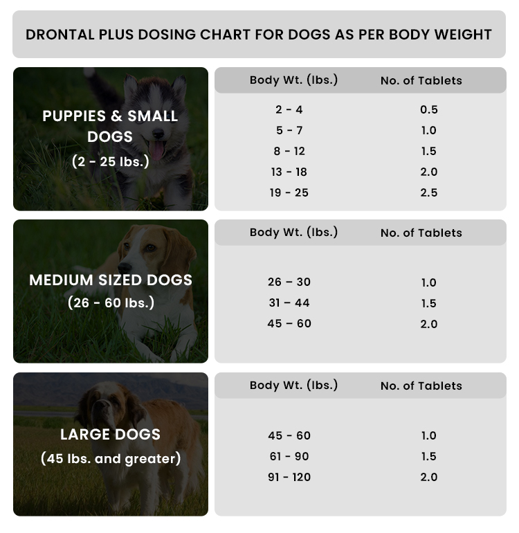 Drontal Plus for dogs dosage chart as per the dog weight