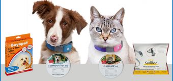A Quick Fix Cure For Pets – Flea And Tick Collars