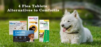 Top 4 Flea Tablets Alternatives to Comfortis