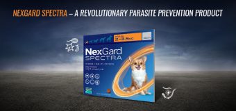 Nexgard Spectra – A Revolutionary Parasite Prevention Product