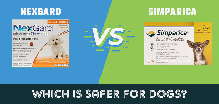 Nexgard VS Simparica Which is Safer for Dogs?