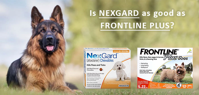 Nexgard vs Frontline Plus