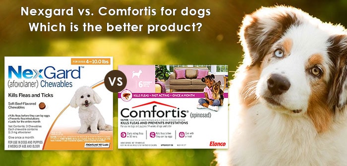 Nexgard vs. Comfortis for dogs