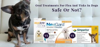 Bravecto, Nexgard And Simparica: Oral Treatments For Flea And Ticks In Dogs Safe Or Not?