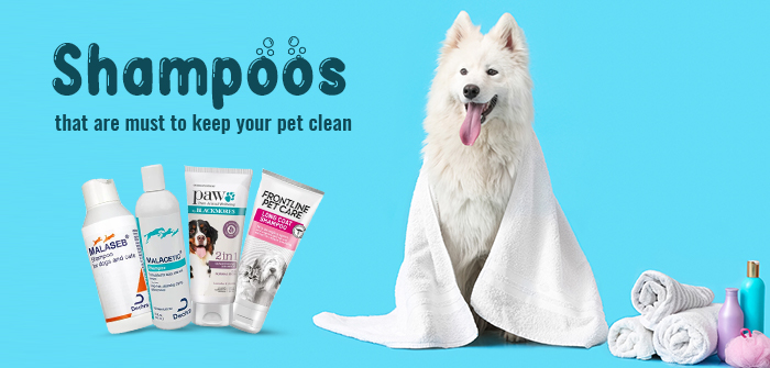 Vet Recommended Shampoos