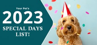 The 2023 List of Pet Holidays