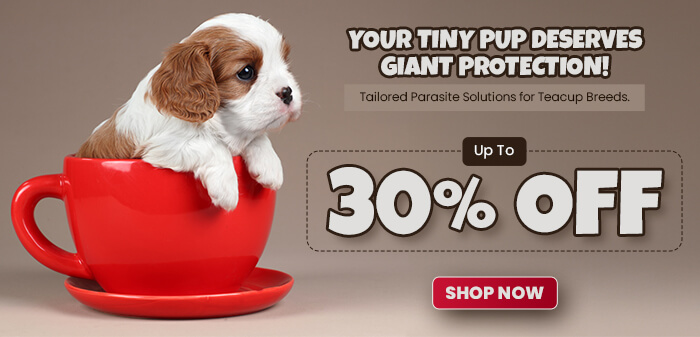Teacup puppy sitting in a red teacup with a promotional message offering up to 30% off on tailored parasite protection for small breeds, with a "Shop Now" button.