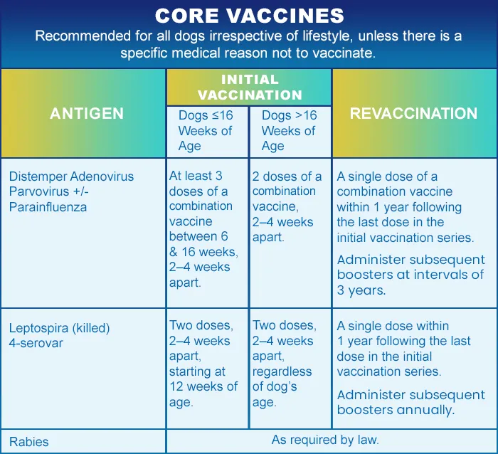 core dog vaccination schedule table