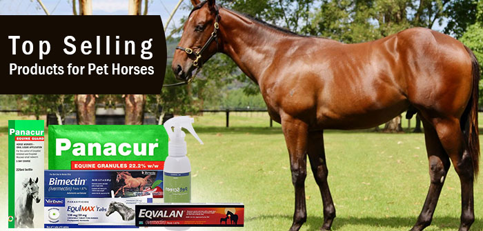 Horse- products