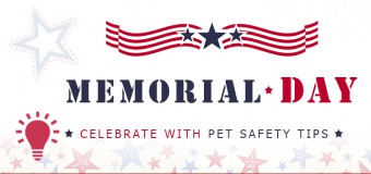 Memorial Day – Celebrate With Pet Safety Tips