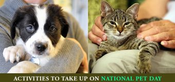 Activities To Take Up On National Pet Day