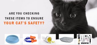 Are You Checking These Items to Ensure Your Cats Safety?