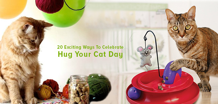 Celebrate Hug Your Cat Day