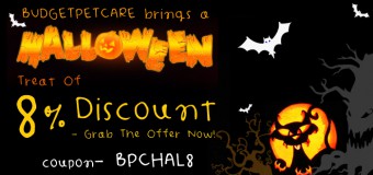 A Halloween Treat Of 8% Discount From Budgetpetcare- Grab The Offer Now!