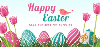 Time To Renew Your Pet’s Health With Easter Discount – Grab The Best Pet Supplies And Save 12% On Your Order!