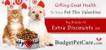 How About Gifting Great Health To Your Pet This Valentine- Big Brands At Extra Discounts On Budgetpetcare!