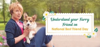 Understand your Furry Friend on National Best Friend Day