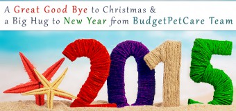 A Great Good Bye to Christmas and a Big Hug to New Year