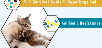 Pet’s Survival Guide to Superbugs and Antibiotic Resistance
