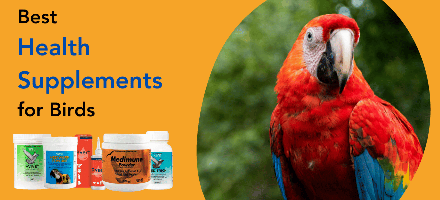 Best health supplements for birds