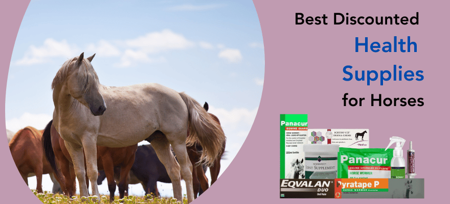 best health supplies for horse skin condition and health