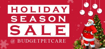 LET'S Celebrate Holiday Month with BudgetPetCare Christmas Sale