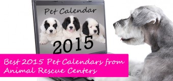 Best 2015 Pet Calendars from Animal Rescue Centers