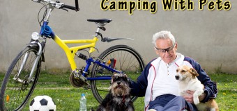 Camping With Pets – Benefits and Concerns