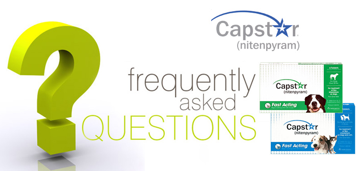 Capstar FAQs