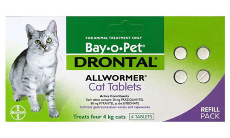 Drontal for Cats