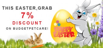 This Easter, Grab 7% Discount On BudgetPetCare!