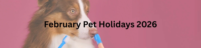 Pet Holidays in February 2026
