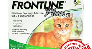 Have you bought Frontline For Cats for your Tabby cat as yet?
